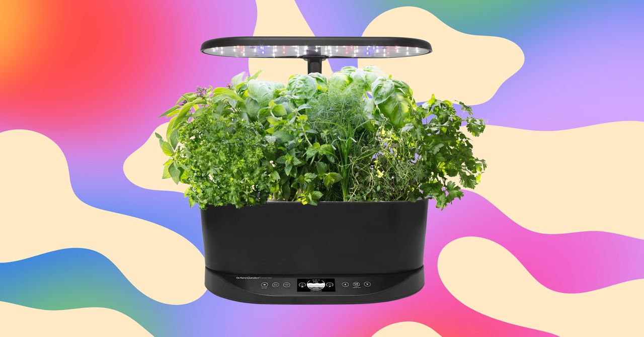 O Aerogarden que recomendo a todos custa apenas US $ 83 no momento, um desconto de 63%