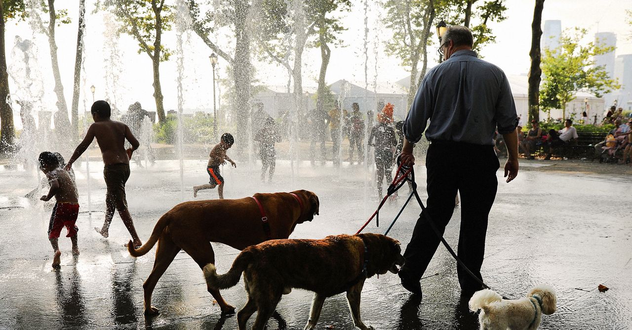 Nova York está prestes a se sentir mais quente que Phoenix