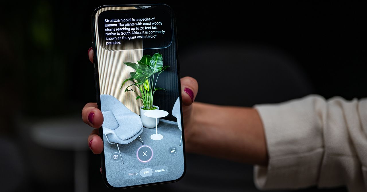 O chefe de câmera da Apple acha que a IA pode lhe dar superpoderes
