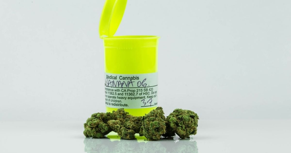 Usuários de cannabis receberam provisões para dirigir em NSW