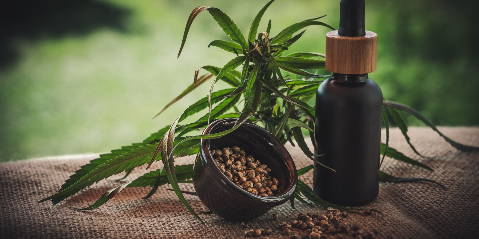 Projeto apoia mães e crianças atípicas tratadas à base de cannabis