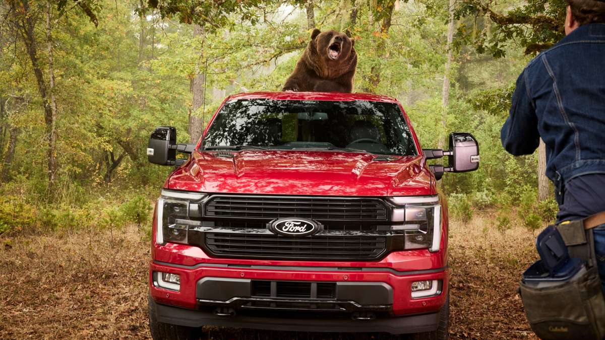 Ford contratou um urso de 800 libras para testar a segurança do F-150