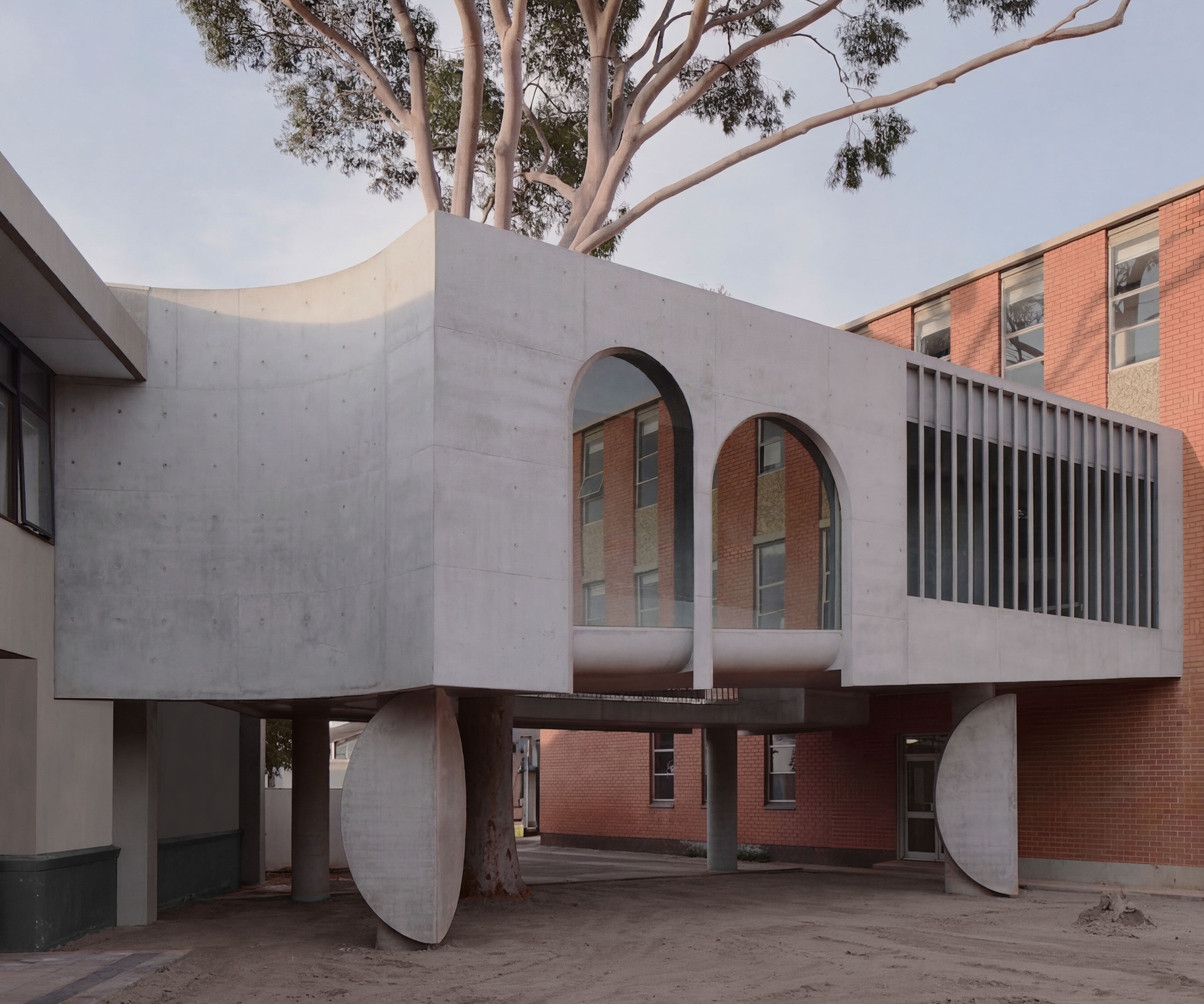 Galeria para um “viaduto” de árvore Marcellin College / Farrell Wray Architects