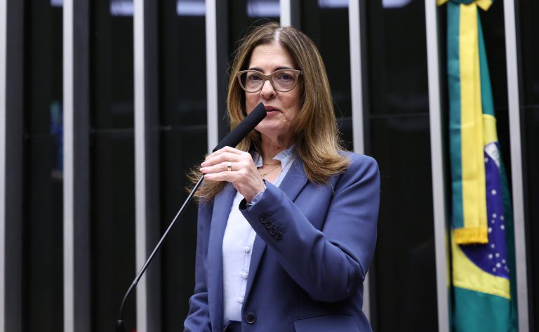 Comissão aprova política de apoio a brasileiros repatriados e deportados – Notícias