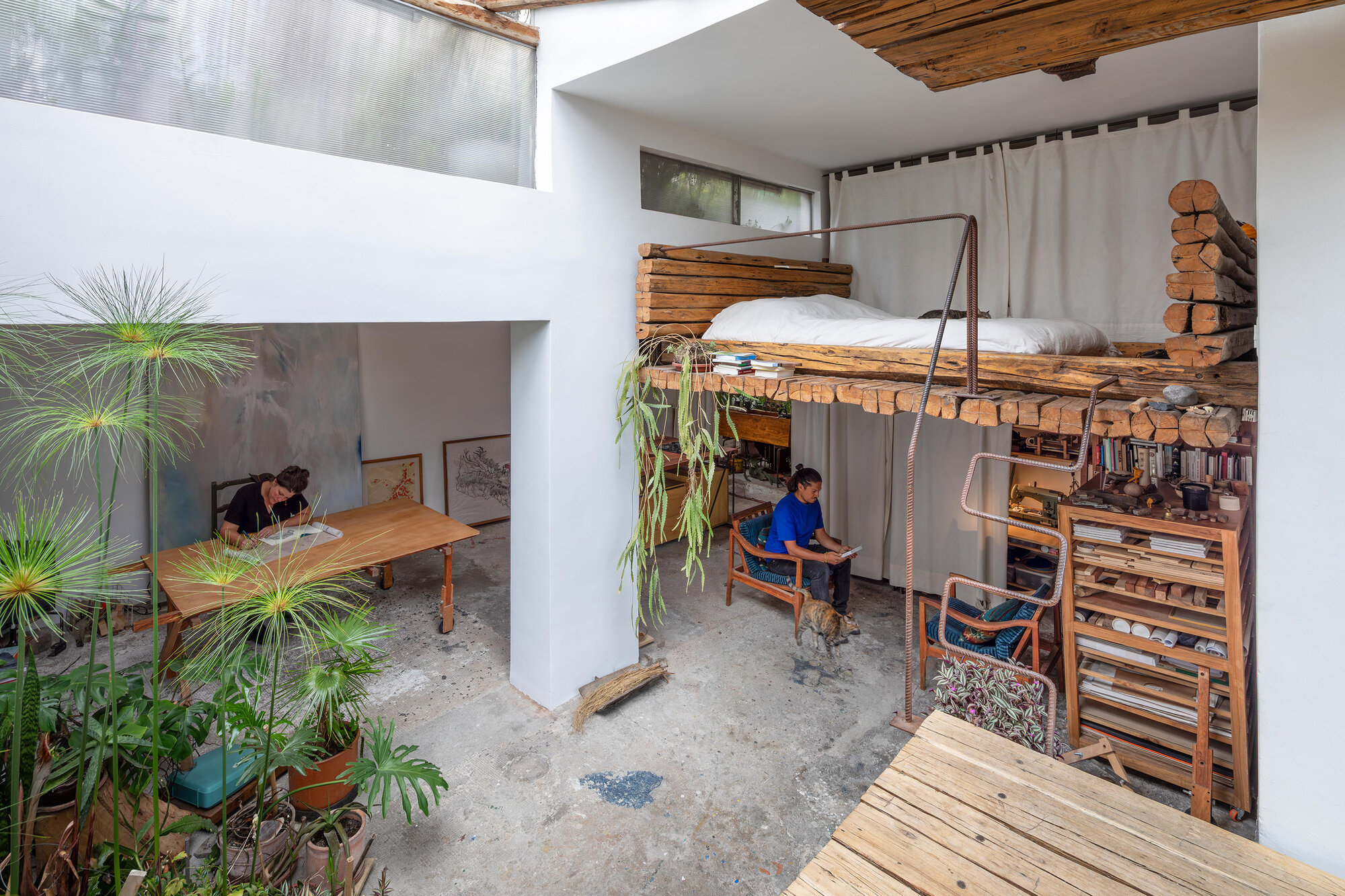 A Casa dos Maywas / A Cabana da Curiosidade