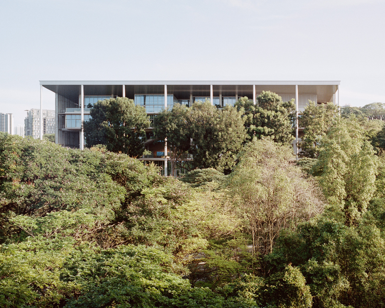 Pedagogia no Espaço: Currículo Oculto das Escolas de Arquitetura