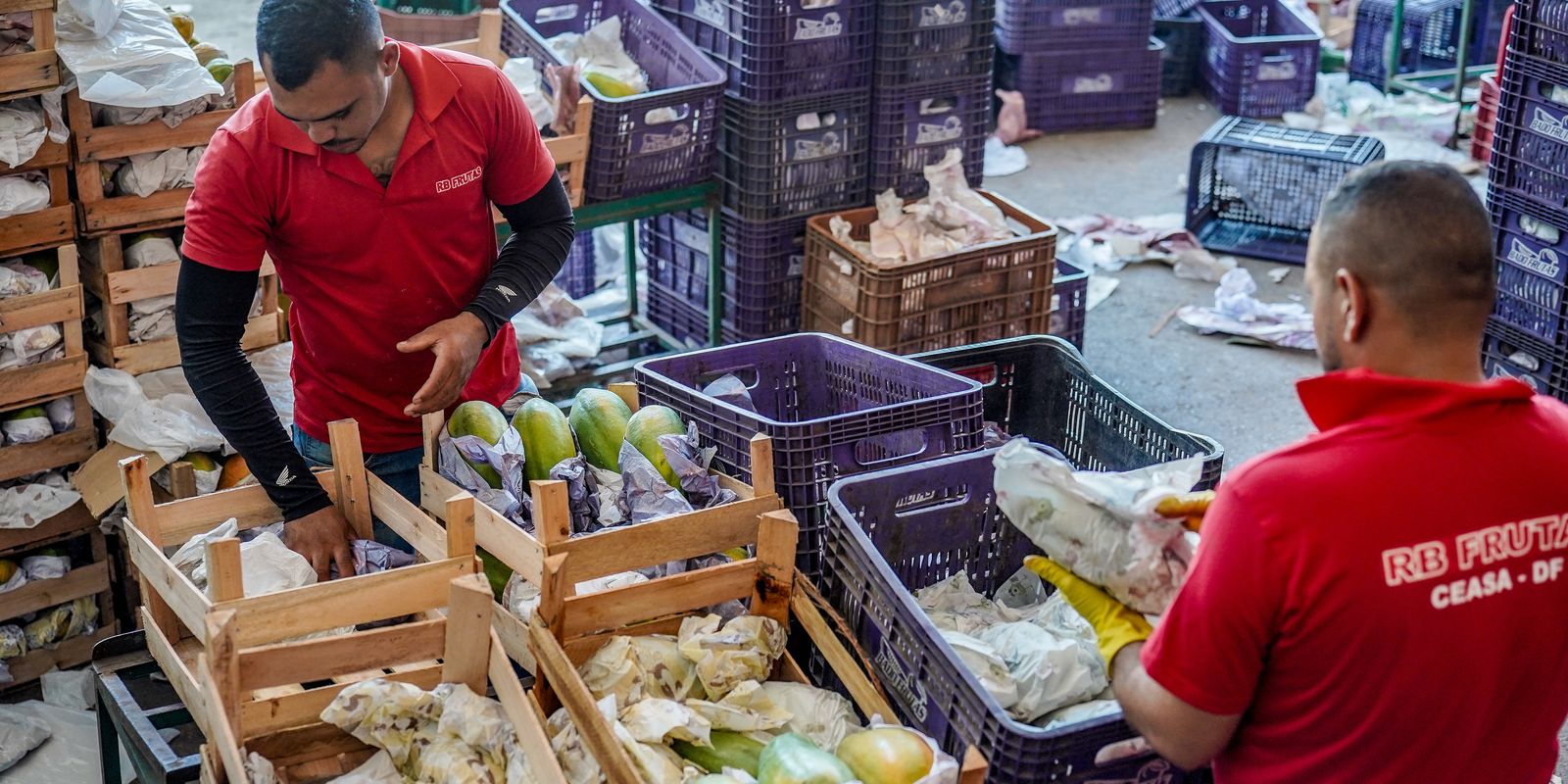 Governo anuncia crédito de R$ 97,3 bi para agricultores familiares