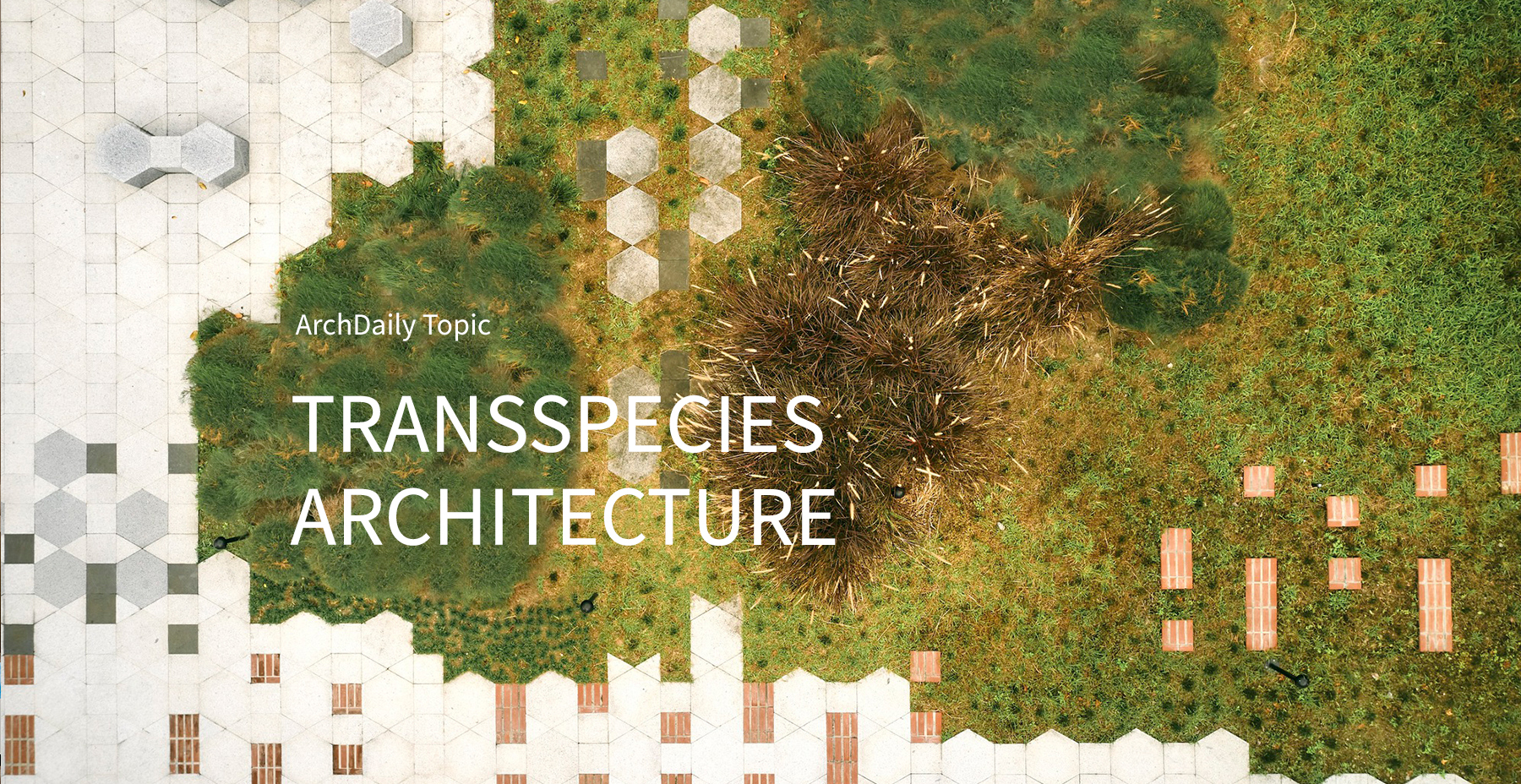 Arquitetura Transespécies: Foco Editorial de Junho do ArchDaily