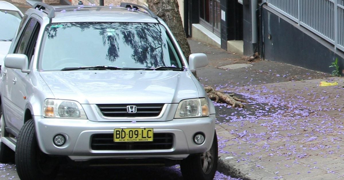 Vizinhos barulhentos e estacionamento duvidoso: reveladas as regras não escritas de vizinhança da Austrália
