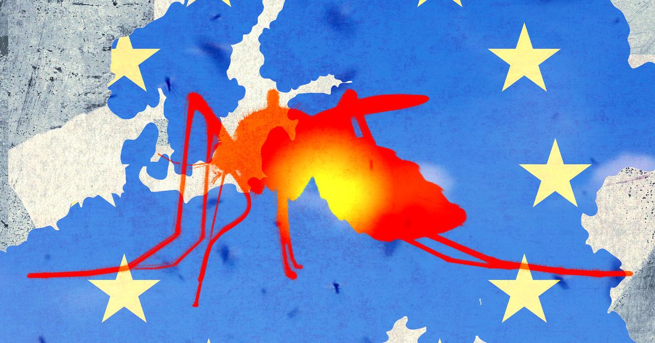 Doenças tropicais como dengue e chikungunya estão aumentando na Europa