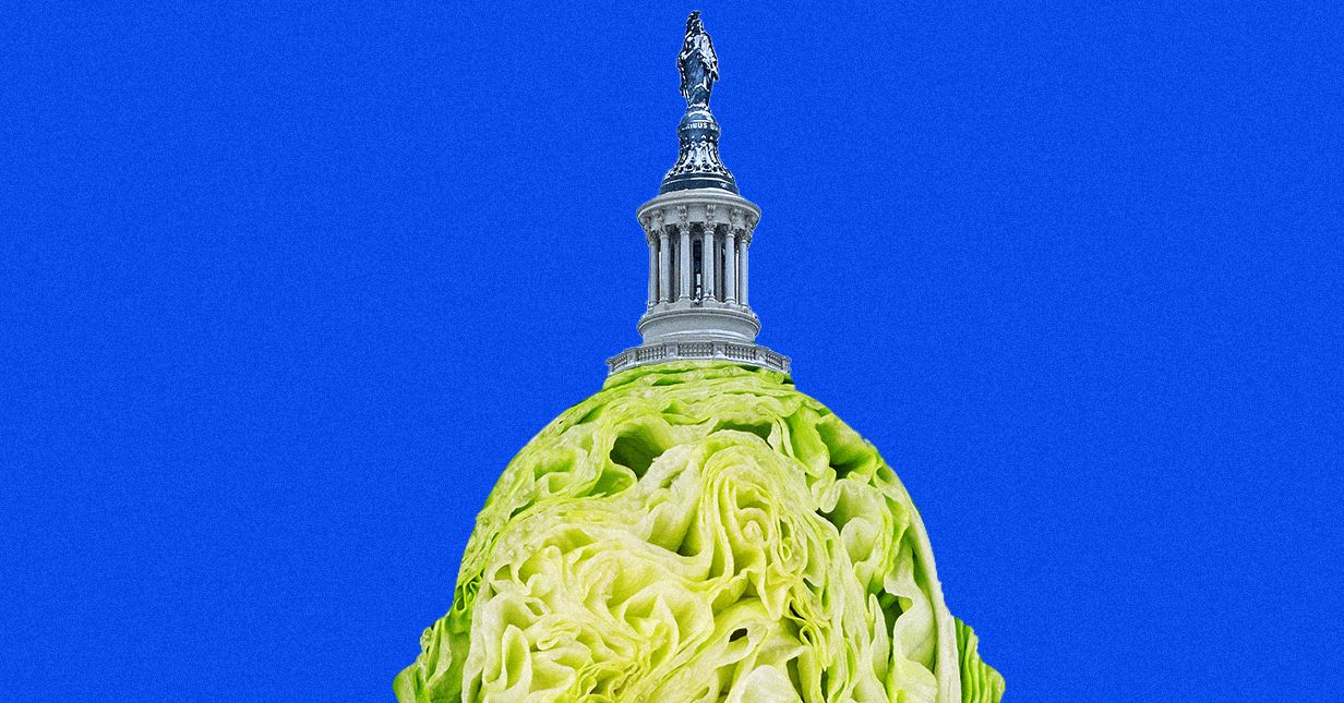 Taylor Farms gastou muito em MAGA e lobby anti-regulatório antes do surto de diarréia