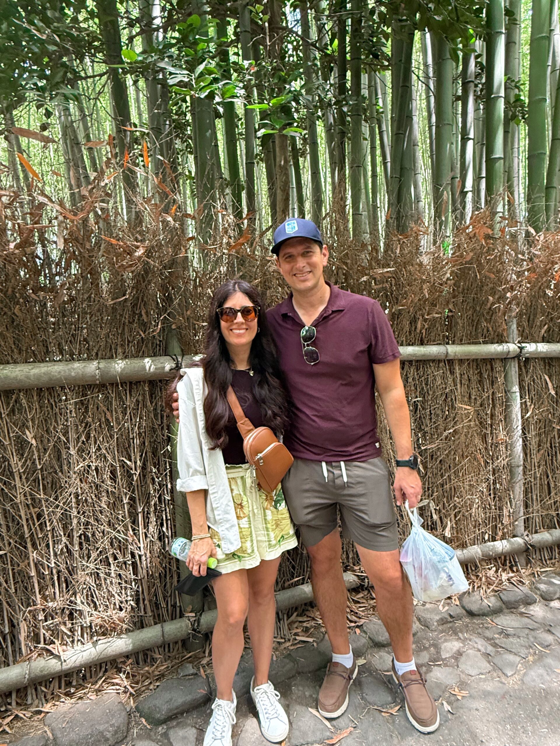 Recapitulação de Kyoto, floresta de bambu e parque de macacos