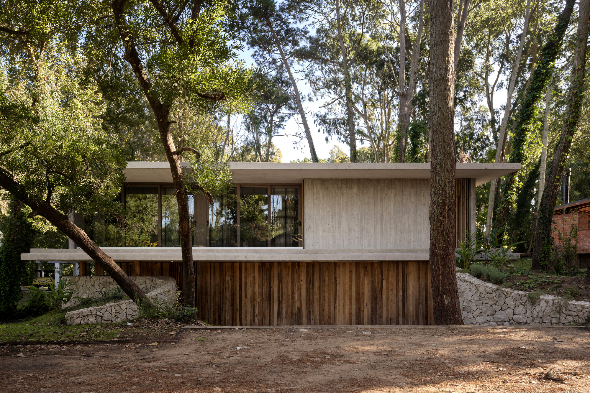 Trinta e Nove Árvores / Grizzo Studio