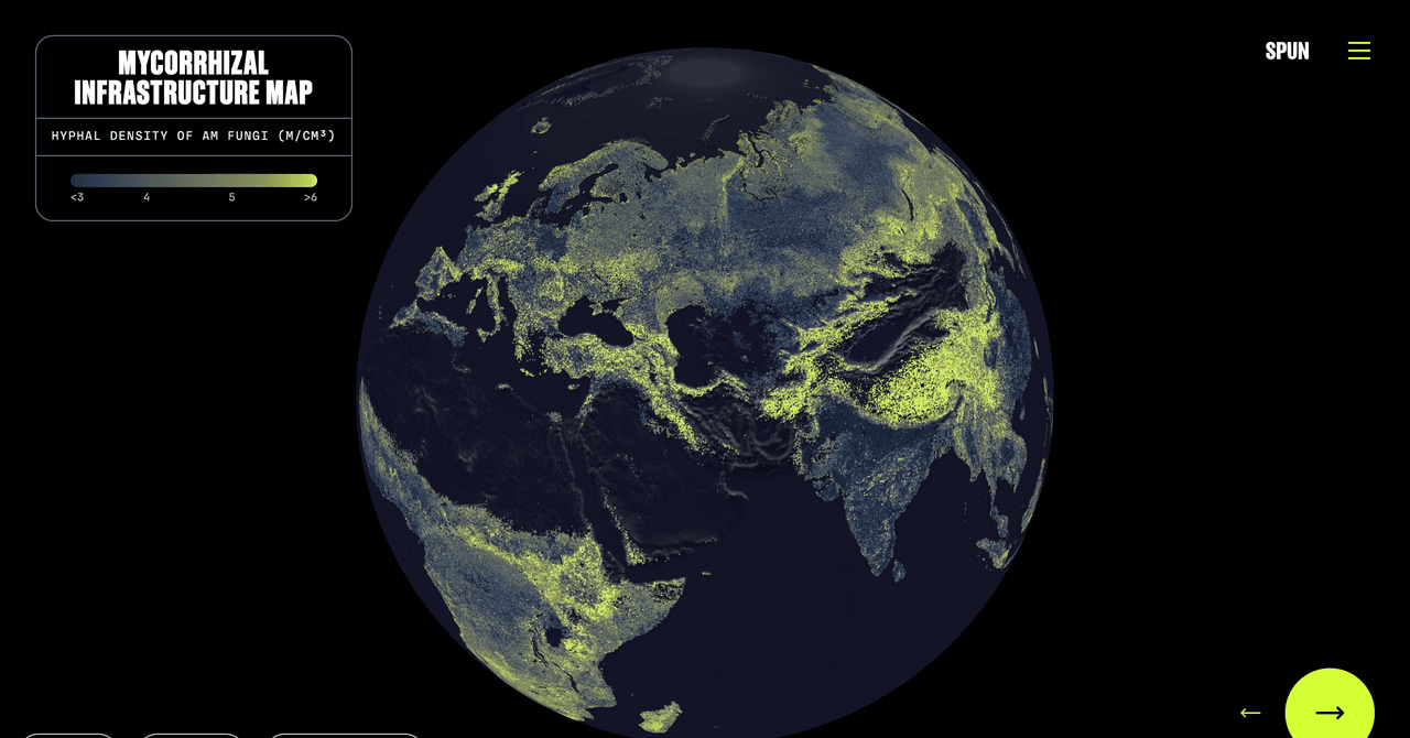 Existe uma rede global de fungos sob seus pés. Este é o primeiro mapa completo