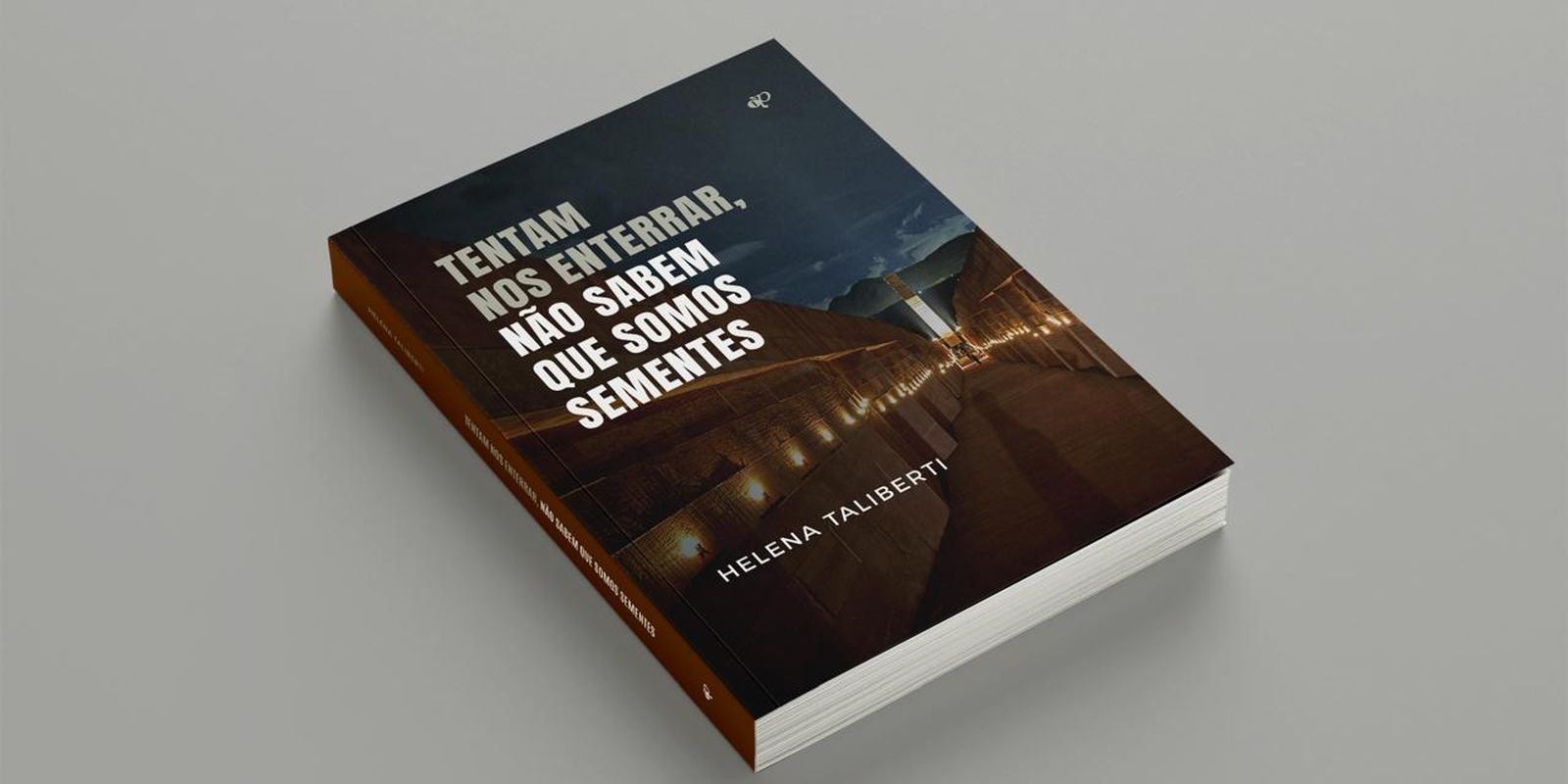 Livro transforma luto de Brumadinho em memória e resistência